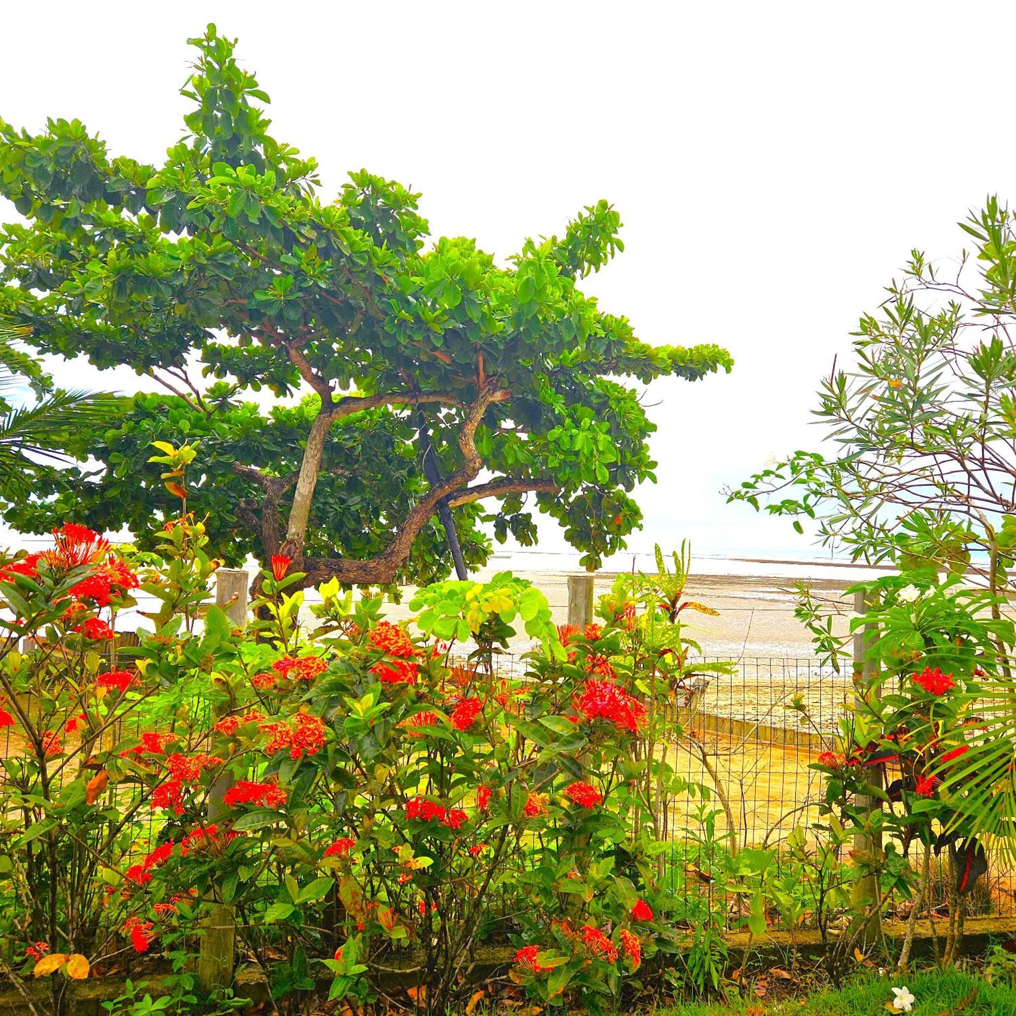 Pe Na Areia Chales E Studios - Cumuruxatiba, Ba Holiday home Cumuruxatiba