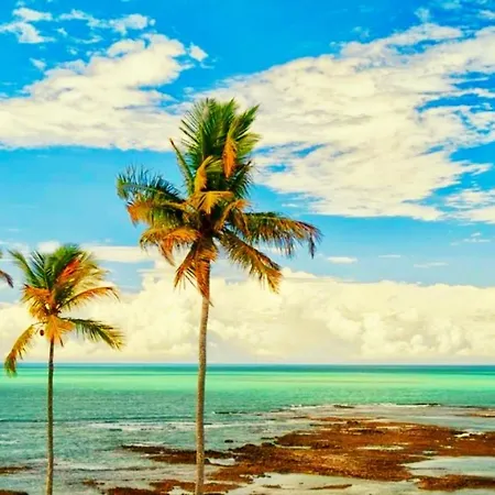 Pe Na Areia Chales E Studios - Cumuruxatiba, Ba Exterior photo